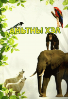 Local cover image